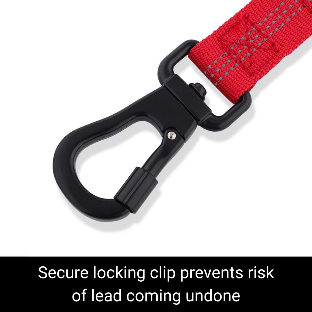 Snootiful Hound Secure Bungee Dog Lead With Locking Carabiner Clip, Double Handle Shock Absorbing Lead, Assorted Colours - Image 2