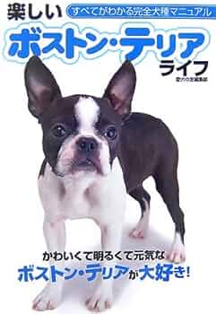 51bzvo7iSQL._AC_UF350,