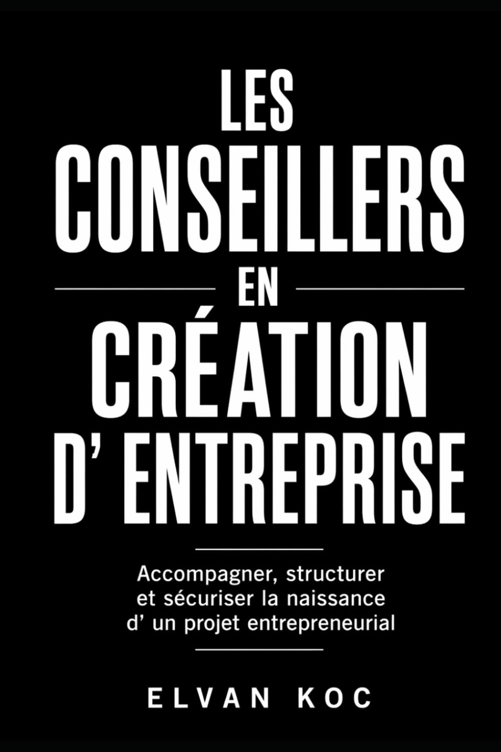 LES CONSEILLERS EN CRÉATION D' ENTREPRISE: Accompagner, structurer et sécuriser la naissance d' un projet entrepreneurial