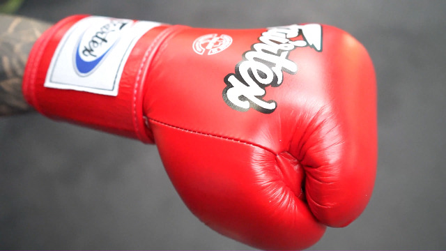 ボクシング cvtvlist boxing gloves family friends RFX-AC Amateur