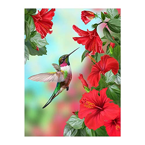 Square Diamonds Kit de Peinture Diamant Carré 5D à Faire soi-Même Colibri et Fleurs au Point de Croix avec Strass Broderie sur Toile avec Diamants Cadeau...