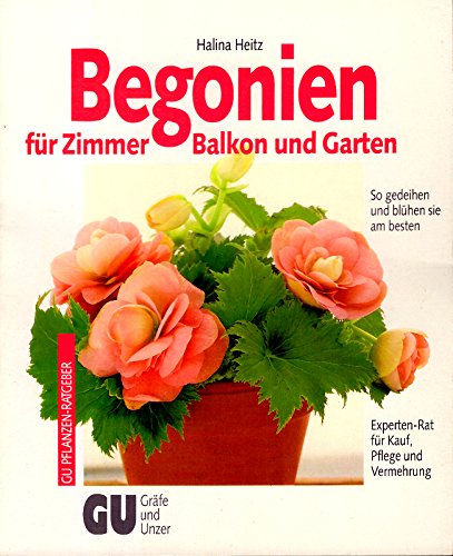 Begonien für Zimmer, Balkon und Garten. So gedeihen und blühen sie am besten. Experten-Rat für Kauf, Pflege und Vermehrung