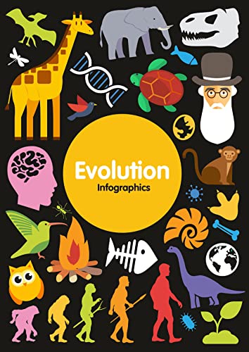 Evolution view 2