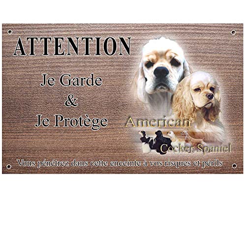 Pannello cane Cocker americano con personalizzazione quadri e doppia vernice da 15 / 9,5 cm.