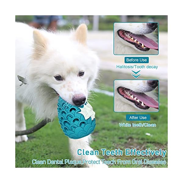 Dog Toy for Aggressive Chewers Large Breeds, Indestructible Dog Toys-Lifetime Replacement Guarantee-Tough Dog Toys for Medium Large Dogs, Puppy Toys 900 Lbs Pull Tension Blue Dog Toy for Aggressive Chewers Large Breeds, Indestructible Dog Toys-Lifetime Replacement Guarantee-Tough Dog Toys for Medium Large Dogs, Puppy Toys 900 Lbs Pull Tension Blue