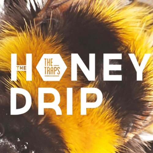 The Honey Drip Traps Digital Music
