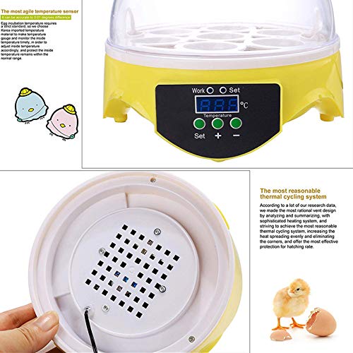Jlxl Inkubator Vollautomatisch Brutmaschine Temperaturregulierung Brutmaschine for Huhn Ente Gans Taube Wachtel Geflügel… – Bild 6