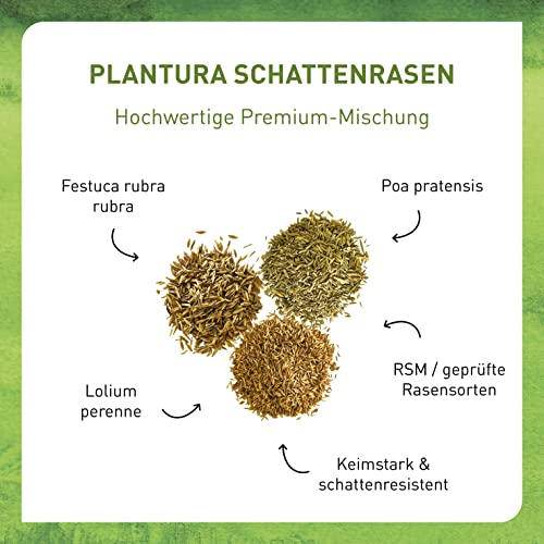 Foto von Plantura Schattenrasen, 2 kg, Rasensamen für Schatten, Premium-Saatgut