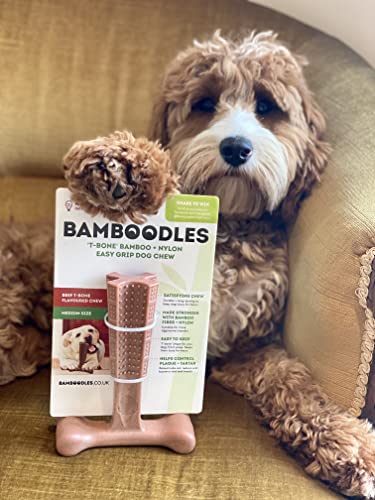 Bamboodles T-Bone Dog Chew Toy – Large | Peanut Butter Flavour | Long Lasting Dog Chew Stick for Large Breeds | Durable Natural Chew Toy to Help Satisfy Power Chewers - Image 4