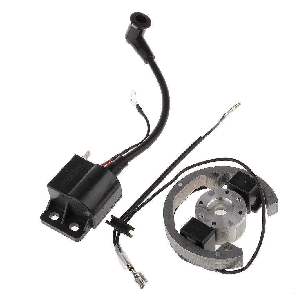 Stator Rotor Zündspule Hochleistungsersatz Aggregat Wartungsfreundliches Zubehör Passend für 50 SX für Reparaturservice Motorradpflege