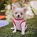 4 Pieces Ddog Shirt Girl Dog Clothes Summer Puppy Clothes for Chihuahua Yorkie Soft Cute Patter Pet Cat Clothing Pink Rose Red Green XS