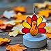 Switchables Glass Cover: Turkey/Thanksgiving