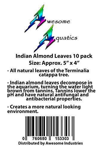 Image of Awesome Aquatic Catappa Indian Almond Leaves, 10 Count, 4-6 Inch | Natural tannins • Blackwater conditioning • Betta & shrimp habitat • Water enrichment