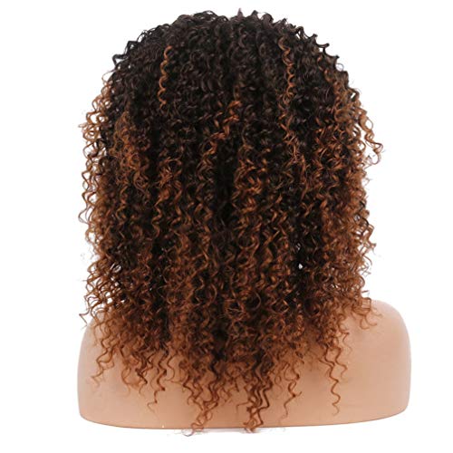 Perruque synthétique ondulée afro-américaine avec dentelle frontale brune 14 pouces