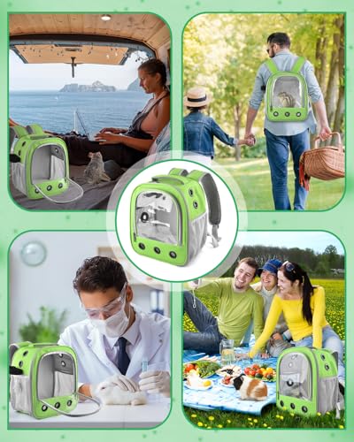 guinea pig carrier backpack portable rabbit travel carring bag for pet bunny chinchilla bearded dragon hamster parrot outgoing pouch case with water bottle holder amp detachable pad green
