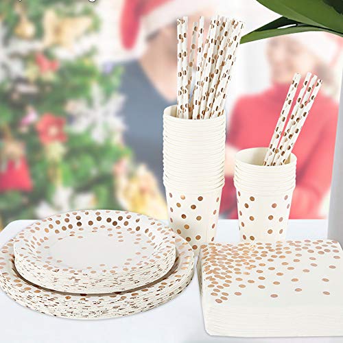 使い捨て食器セット 146点セット