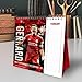 2025 Calendar Liverpool FC Month to View Football Desk Easel Official Product