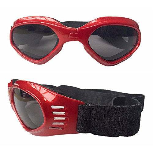 CAZZO Cool Pet Dog Motorcycles Bike Helmet/Sunglasses for Sun Rain Protection,Funny Halloween Cosplay Costume for Cats Dogs (Red Sunglasses)