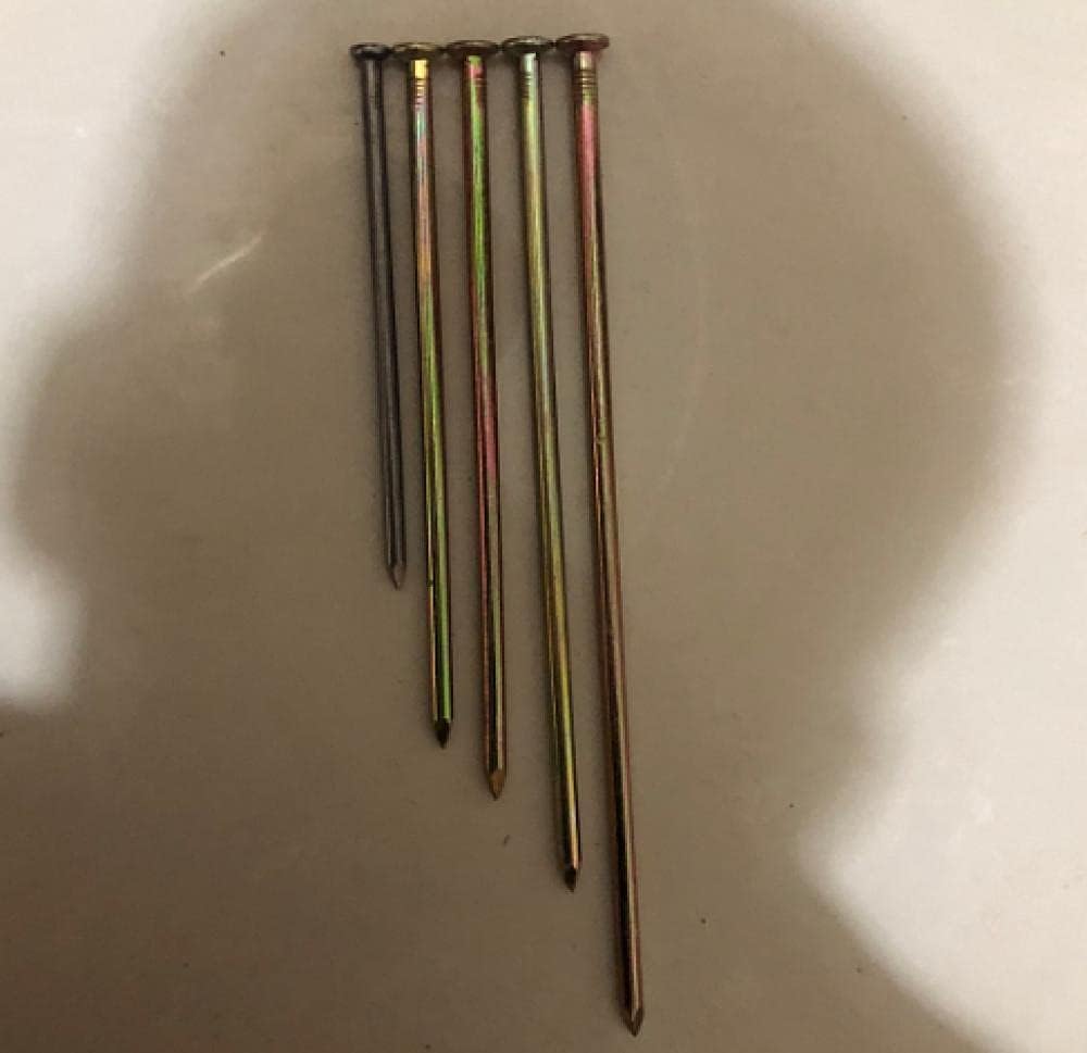 Clavos de Cemento,Clavos de Pared Tachuelas Clavos Clavos de Hierro pequeños for carpintería, Clavos, Clavos alargados, 2, 2,5, 6, 7, 8, 9, 10, 12 Pulgadas(Steel Nails*0.8 Inch*1400)