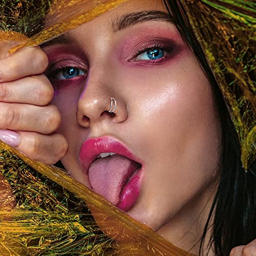 Lolias 18G 16G G23 Titanium Nose Rings Hoops For Women Men Hypoallergenic Cz Clicker Conch Hoop Earrings Hinged Segment Septum Lip Helix Cartilage Conch Nose Piercing Jewelry 8Mm 10Mm 18G 8Mm #TOP2