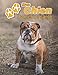 Mon Chien Carnet de santé: Bulldog Anglais | 109 pages 22cm x 28cm | Cahier a Remplir | Vaccinations | Suivi Médical | Visites Vétérinaires | Journal | Agenda | Contacts | Pour les amoureux des chiens