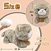 12" Cat Stuffed Animal Plush Toys for Kids, Kawaii Plushies Pillow, Cute Cat Stuffed Animals for Girls and Boys, Age of 3 and Up, Soft Plush Toys are, Birthday Gifts #1