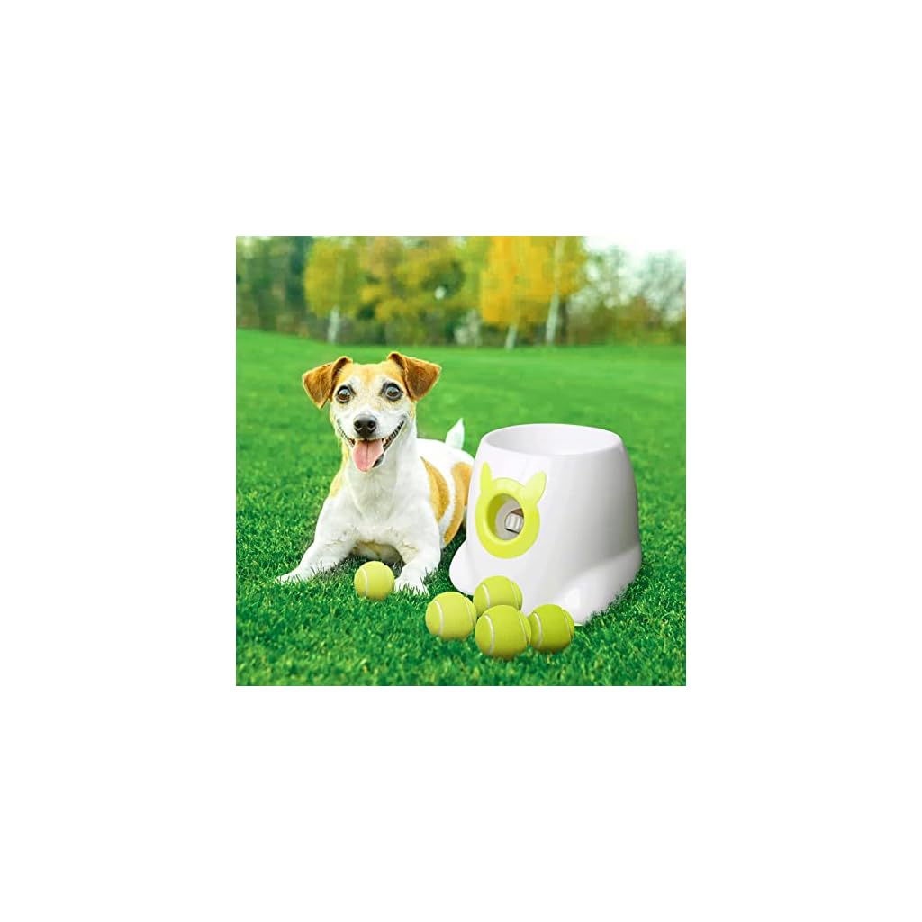 Premium Tennis Balls for Dogs Buy Online