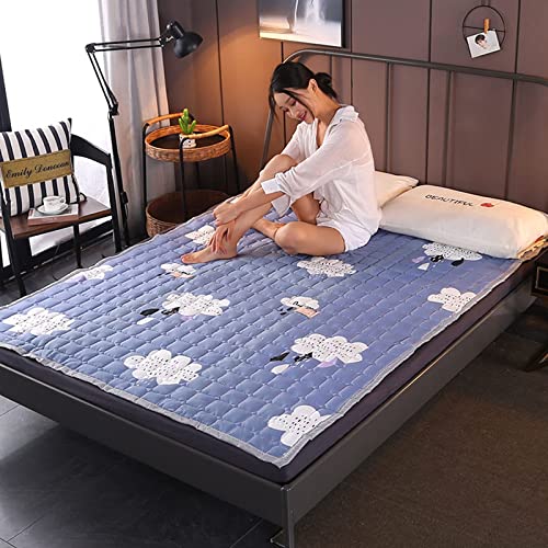 Japanese Futon Mattress Floor