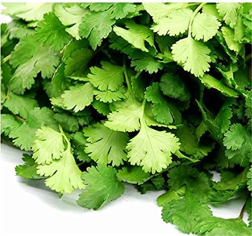 Amazon パクチー 0g 無農薬 無化学肥料 千葉県産 糖度7 2 割主烹従 飛竜 薬味 ハーブ 通販