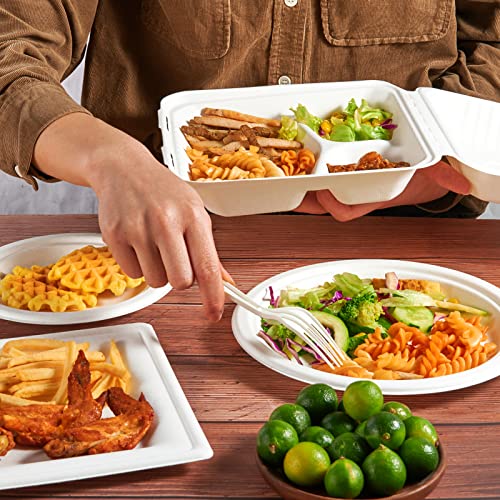 Ecolipak 50 Pack Clamshell Take Out Food Containers, 100% Compostable Disposable To Go Containers, 8X8 3-Compartment Heavy-Duty To Go Boxes For Food #TOP5