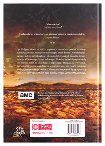 Syn [Polish] 8379763998 Book Cover