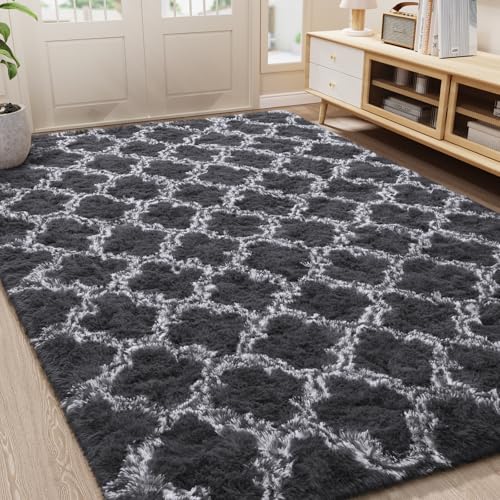 LOCHAS Luxury Shag Area Rug 4x6 Feet Geometric Plush Fluffy Rugs, Extra Soft Carpet Runner Rugs for Bedroom Living Room Dorm Kids, High Pile Shaggy Floor Rug Decor, Dark Grey/White