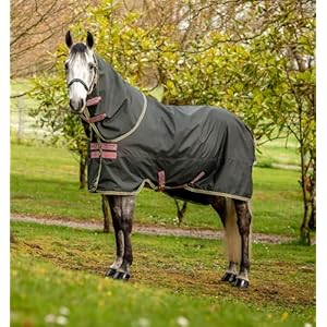 Horseware® Amigo® Hero Ripstop Plus Turnout Horse Blanket (0g Light)