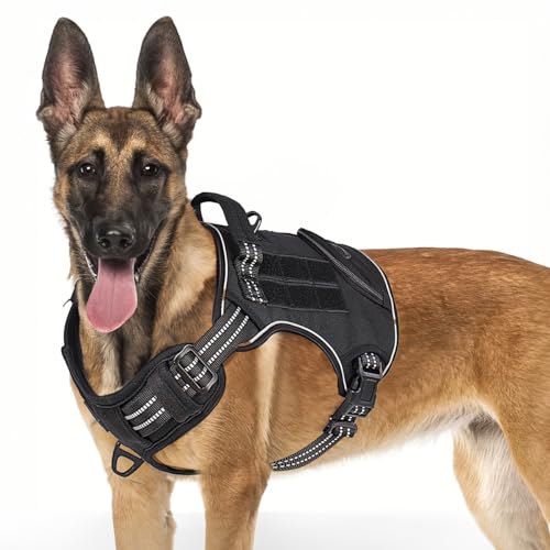 Harnais pour Dogue Allemand  Les 15 meilleurs produits compars - Wild ...