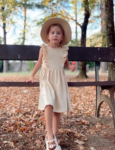 Arshiner Toddler Girl Dresses Ruffle Sleeve Dress for Girl Kids Summer Casual Beach Backless Sundresses with Pockets 2-6T3