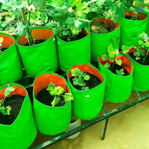 Image of Go Hooked Grow Bags for Gardening Vegetables Herbs & Flowers (Set of 5) Planter Bags for Home Balcony Terrace & Outdoor Farming (12 Inch, 250gsm) Heavy Duty Reusable Gallon Grow Bags (Round)