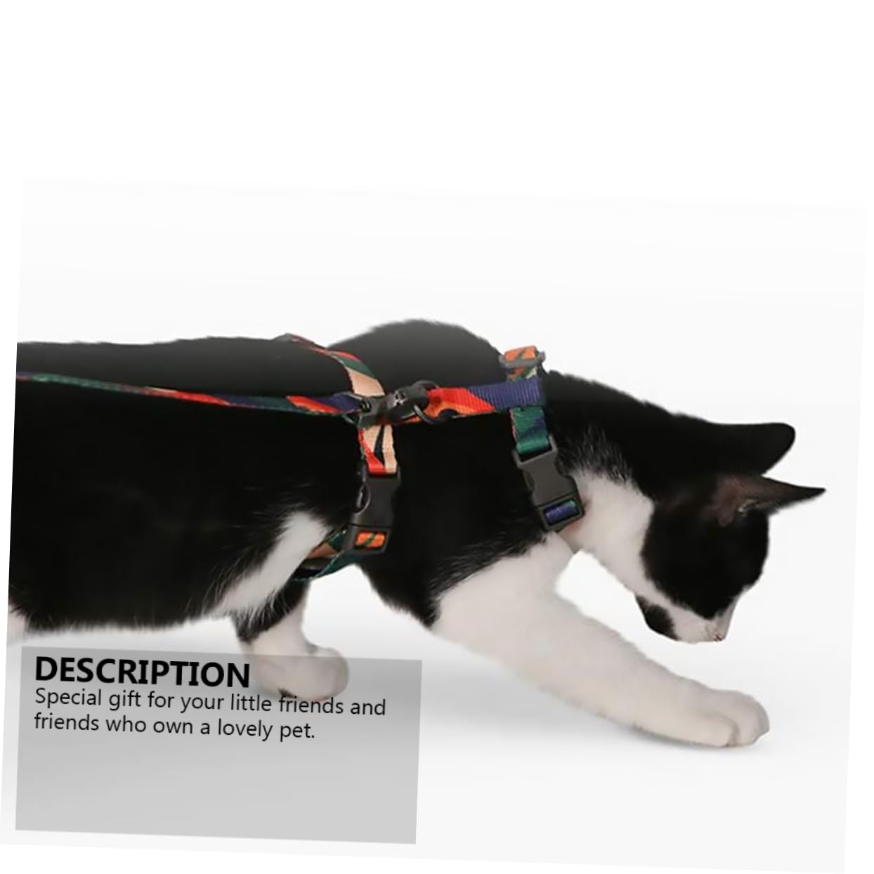 DOITOOL 2pezzi Pettorina Per Gatti Con Guinzaglio Leggera e Confortevole Per Passeggiate Sicure Colori Variabili Accessori Per Animali Domestici
