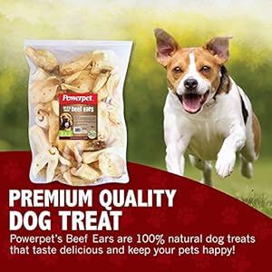   Beef-Ears-for-Dogs-Premium-Quality-Treats-Low-Fat-High-Protein-Long-Lasting-Chews-Easy-Digestion-Healthy-Clean-Teeth-Gums-for-All-Breed-Size-100-Natural-Cow-Flavor-Pack-of-25