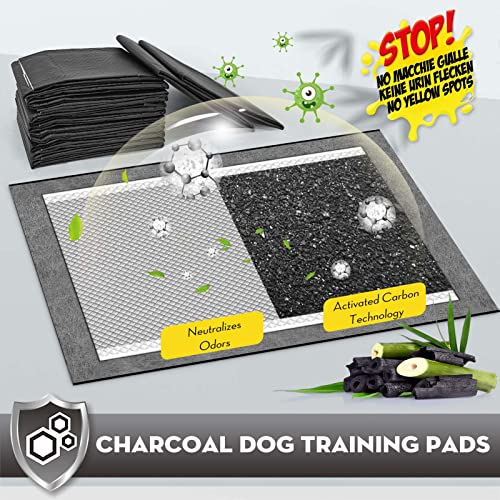 Image of CROCI Charcoal Puppy Pads 23 inchx24 inch Standard Size, Odor-Control Carbon Dog Training Pads Absorbs Up to 4 Cups of Liquid, 6-Layer Leak-Proof & Quick Dry Pee Pads for Dogs, Disposable (100 Counts)