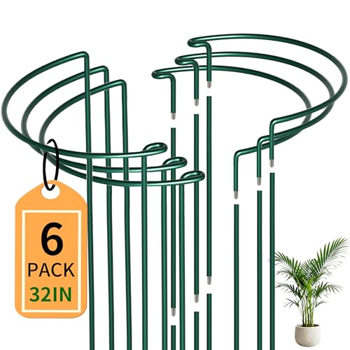 6-Pack Garden Plant Support Cages,14' Diax32 H Heavy Duty Interlinked Half Round Peony Support...