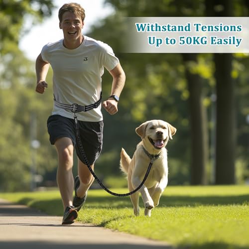 Philorn Joggingleine Hunde, Freihändig Laufleine, Bauchgurt Hundeleine zum Joggen Laufen Wandern mit Dual Griffe, Reflektierende Nähte (Schwarz)