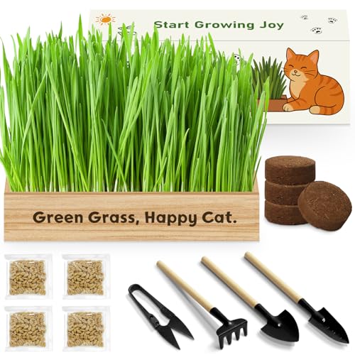 LUOJIBIE Cat Grass Kit for Indoor Cats, Cat Grass Seeds Set, Non-GMO Wheat Grass, Mothers Day Gifts for Mom, Unique Christmas Birthday Gifts for Women Men Girl, House Warming Gifts for Cat Lover