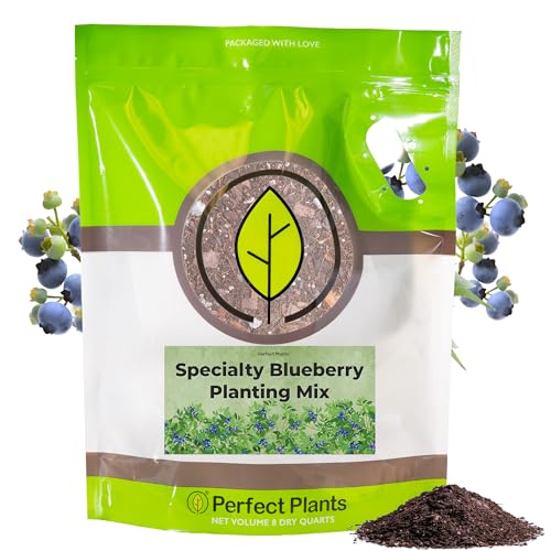 Specialty Blueberry Potting Mix by Perfect Plants | Organic Premium Mix | Use with Blueberry's, Raspberry, or Other Fruit Shrubs (8qt)