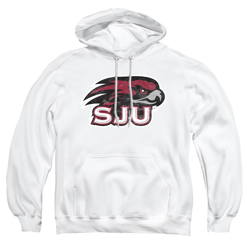 LOGOVISION Official Collegiate Distressed Primary Logo Adult Pullover Hoodie Collection — view 198