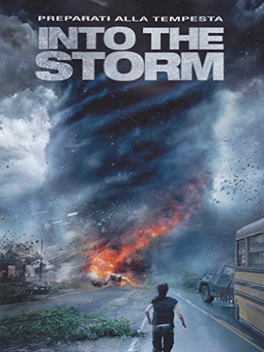Preisvergleich Produktbild Into the storm [IT Import]