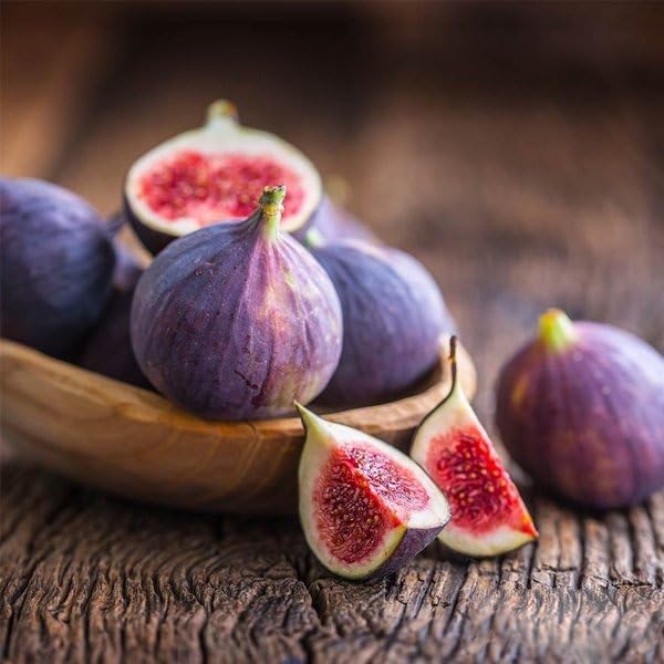 Image of Gular Live Fruit Plant | Cluster Fig Plant | Ficus Glomerata /Ficus Racemosa | Indian Fig Tree | Goolar /Umbar Fruit Plant for Home Garden, Outdoor Farming & Terrace Growing