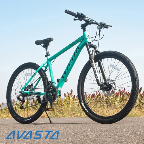 AVASTA 26