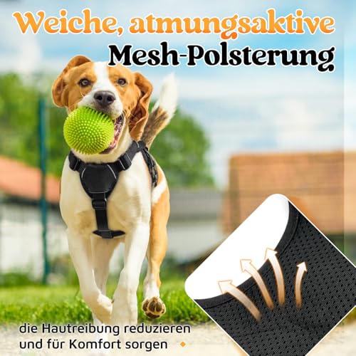 rabbitgoo Ausbruchsicheres Hundegeschirr Kleine Hunde mit Griff, Anti Zug Sicherheitsgeschirr Hund Atmungsaktiv, Verstellbare Brustgeschirr, Gepolstertem Hundeweste, Panikgeschirr, Schwarz S