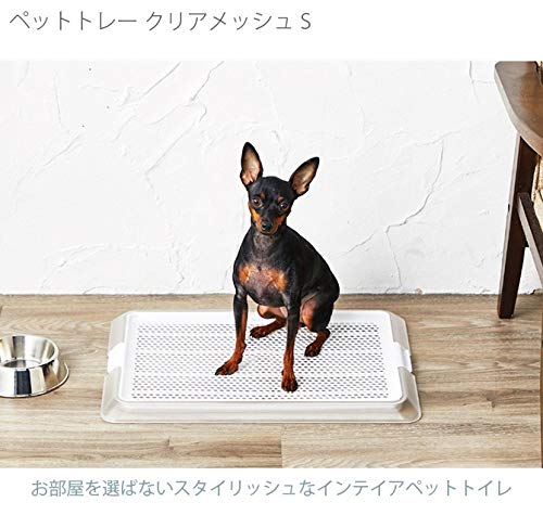犬用トイレ おしゃれでシンプルなトイレトレーおすすめ７選 Dapuuruz