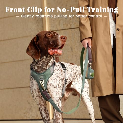 Image of Didog No Pull Dog Harness for Medium Dogs, Classic PU Leather, Green, L